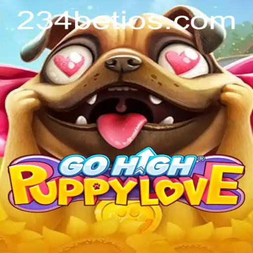 234 bet Casino App